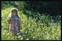 Маленька дівчинка на квітковому лугу