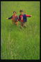Діти серед високої зеленої трави
