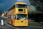 На околиці міста природна картина із зображенням дерев у яку вторгається жовтий автобус