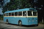 Синій автобус серед річної листя яка гладить корпус машини